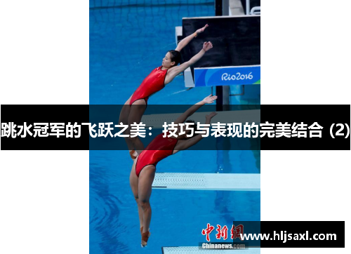 跳水冠军的飞跃之美：技巧与表现的完美结合 (2)
