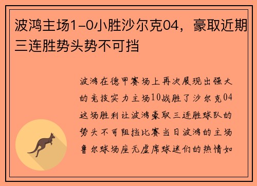 波鸿主场1-0小胜沙尔克04，豪取近期三连胜势头势不可挡